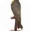 Australian Hobby perching on wooden stand facing back left