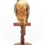 Australian Hobby perching on wooden stand facing front
