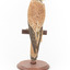 Nankeen Kestrel perching on wooden stand facing back