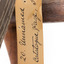 Nankeen Kestrel with close-up of swing tag
