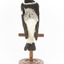 White Winged Chough perching on wooden stand facing back