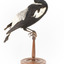 White Winged Chough perching on wooden stand facing right