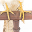 Close-up of Nankeen Kestrel's feet on wooden mount