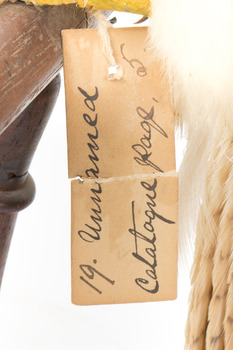 close-up of swing tag, see transcription