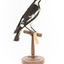 Magpie-Lark/Mudlark standing on wood mount facing back-right