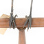 Close-up of Magpie-Lark/Mudlark's feet standing on wood mount