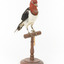 Red Headed Woodpecker standing on wooden mount facing front-right