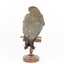 Dollar bird standing on wooden mount facing backwards