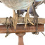 Close-up shot of the Dollar Bird's feet standing on wooden mount