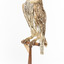 Barking Owl standing on wooden pedestal with swing tag attached.