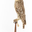 Barking Owl standing on wooden pedestal with swing tags attached. 