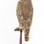 Barking Owl standing on wooden pedestal with swing tags attached.