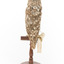 Ural Owl mounted on wooden perch pedestal with swing tag.The specimen's plumage is white, brown, grey and streaked.