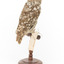 Ural Owl mounted on wooden perch pedestal with swing tag.The specimen's plumage is white, brown, grey and streaked.