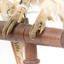 Ural Owl mounted on wooden perch pedestal with swing tag. Close up view of talons.