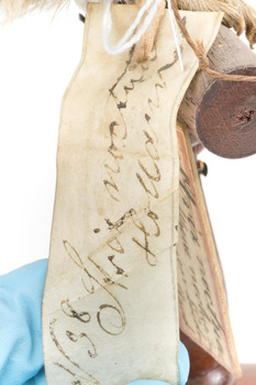 Ural Owl mounted on wooden perch pedestal with swing tag. Close-up view of paper swing tag attached to lower right leg (see transcription).