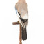 standing on wooden mount facing back left