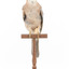 Eurasian Jay standing on wooden mount facing forward