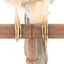 Close-up of Eurasian Jay standing on wooden mount facing forward