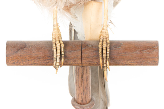 Close-up of Eurasian Jay standing on wooden mount facing forward