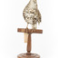 Bassian Thrush standing on wooden mount facing forward
