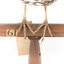 Close up of Bassian Thrush standing on wooden mount facing forward