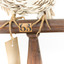 Bassian Thrush standing on wooden perch with original swing tag on its right leg, facing front, base close up