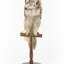 Northern Hawk-Owl taxidermy specimen standing on wooden mount, facing front 