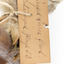 Northern Hawk-Owl, close up of identification swing tag