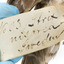 Northern Hawk-Owl, close up of original tag with catalogue page number.