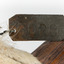 Northern Hawk-Owl, close up of metal tag with a 4 digit number