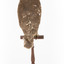 Southern Boobook Owl facing back