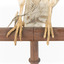 Common Buzzard facing front, close up of base, with swing and metal tags hanging off the bird's right foot.