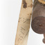 Common Buzzard facing right, close up of identification swing tag, reverse