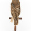 Morepork/Tasmanian Spotted Owl standing on wooden perch facing back