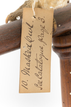 Image of swing tag - see transcription