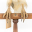 Black shouldered kite standing on wooden perch - close-up of claws on perch, numbered wooden perch (see inscription)