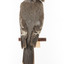 Grey Currawong/grey crow standing on wooden perch facing back