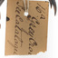Close-up of swing tag which is ripped in half (see transcription)
