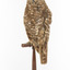 Morepork/Tasmanian Spotted Owl standing on wooden perch facing back left