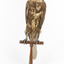 Brown falcon stands on top of wooden perch facing front