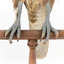 Close-up of brown falcon claws on perch