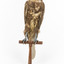 Brown falcon stands on top of wooden perch facing forward