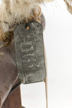 Little Owl / Athene Noctua standing on a wooden mount, front facing