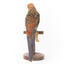 Platycercus Elegans / Crimson Rosella mounted on a wooden stand, front facing