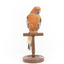 Platycercus Elegans / Crimson Rosella mounted on a wooden stand, front facing