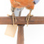 Platycercus Elegans / Crimson Rosella mounted on a wooden stand, front facing