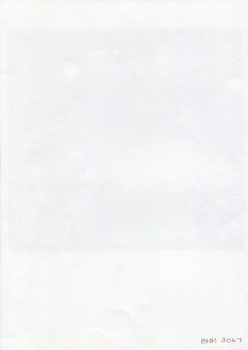 The blank reverse side of a photograph. The identification number has been handwritten in the bottom right corner.