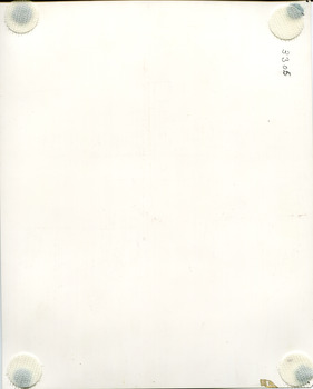 Back  of a 25 X  20  cm photograph with white velcro dots attached to smaller  felt dots on each  corner, and catalogue number pencilled in  one corner.  Residue of adhesive tape on one edge.