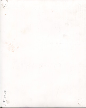 Reverse side of photograph with identifier "3306".